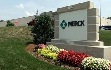 fda probes suicide risk in merck's singulair