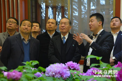 市委常委,统战部长王敬林陪同客人参观了龙门石窟历史文化名胜,并