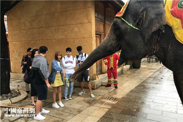 台湾学生喂食大象