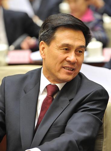 国家民委主任杨晶