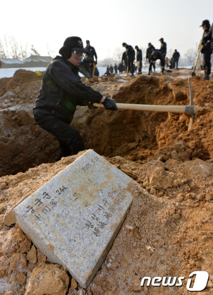 我国在韩志愿军遗骸发掘工作正式开始(图)