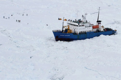 雪龙船南极救援俄罗斯被困船受阻原地待命