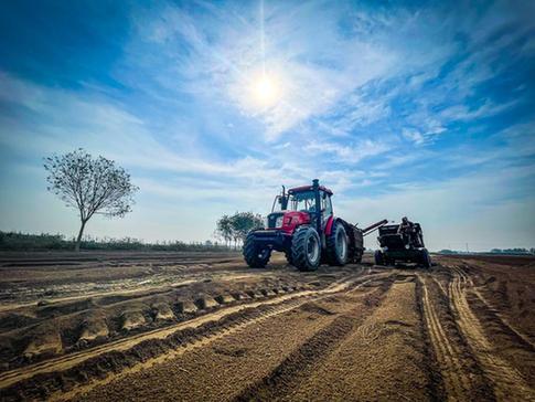 新华全媒+|河北:机械化采收助力中药材产业降本增效