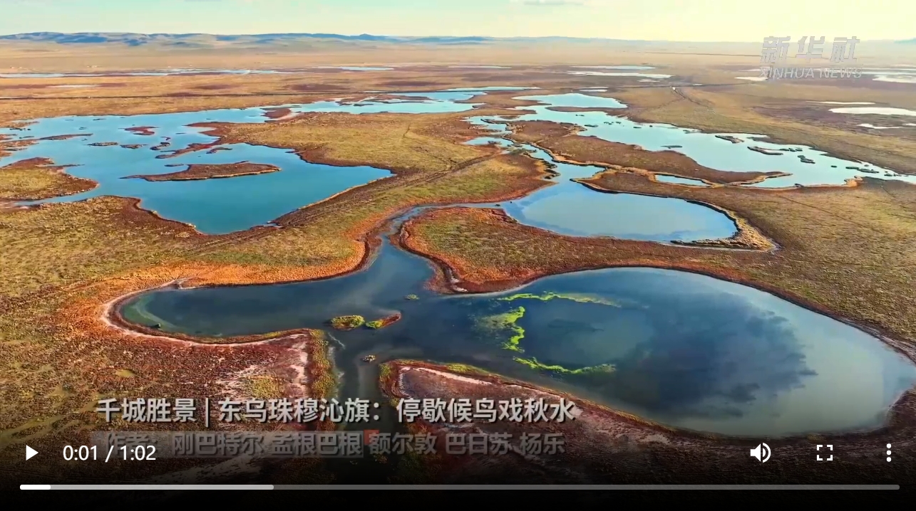 千城胜景｜东乌珠穆沁旗：停歇候鸟戏秋水