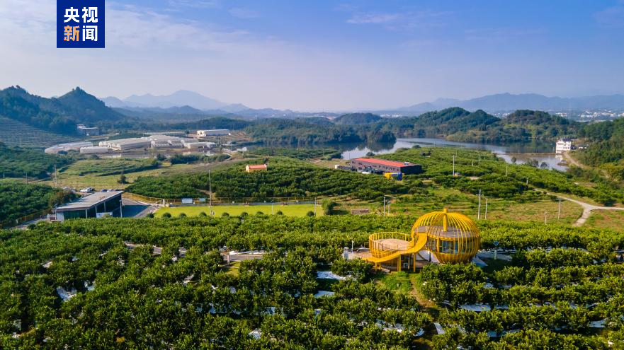 高质量发展调研行丨“山香野果”的“涅槃”重生