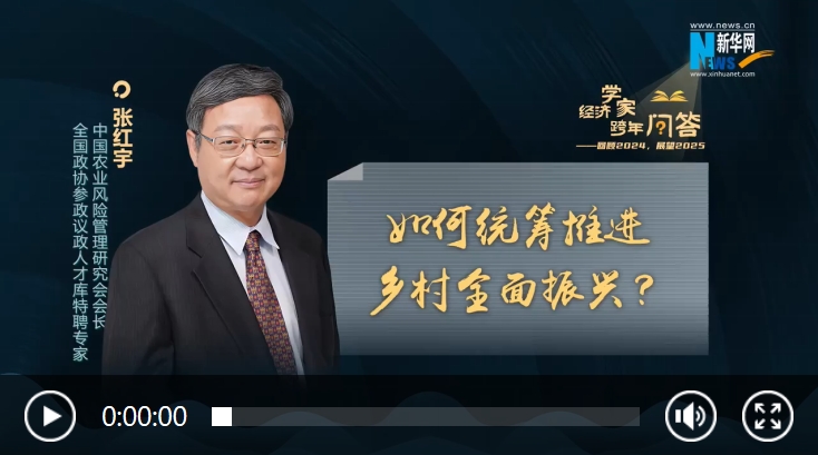 经济学家跨年问答①｜如何统筹推进乡村全面振兴？