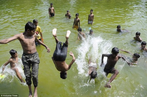 印度50℃高温：民众水中避暑