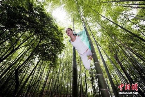 瑜伽达人竹林表演空中绝技
