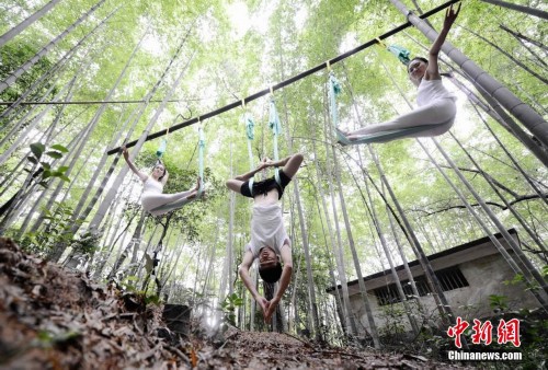瑜伽达人竹林表演空中绝技
