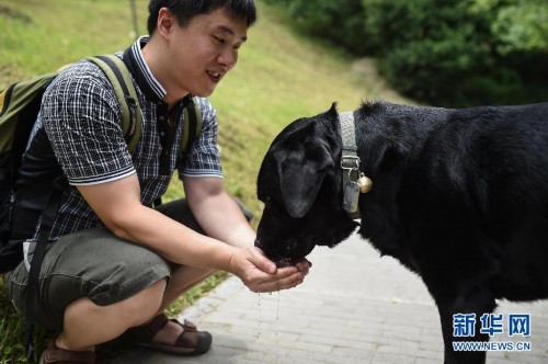 盲人调音师和他的导盲犬“米修”