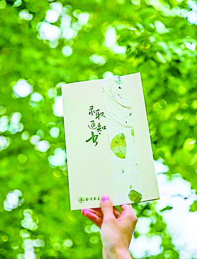 北京林业大学录取通知书的封面上,有一条半透明纸带,点缀着真实的植物叶片标本。资料片