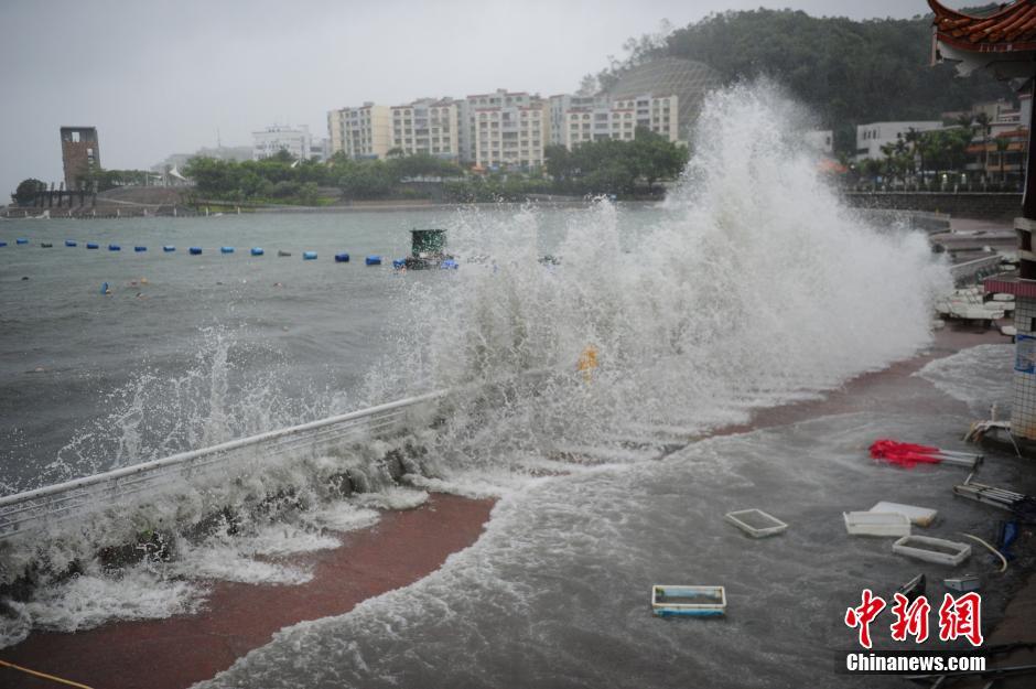 台风妮妲离开菲律宾 海面漂满大量垃圾(组图)