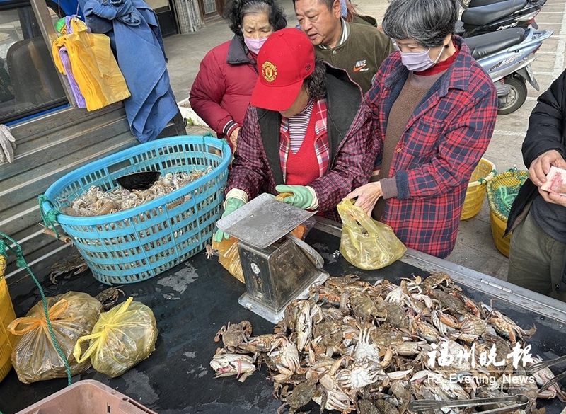 虾蛄螃蟹热销 食在马祖“乡”味满满