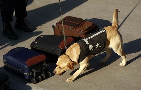 记者从互动活动现场获悉,上海目前有57条警犬在轨道交通和大型