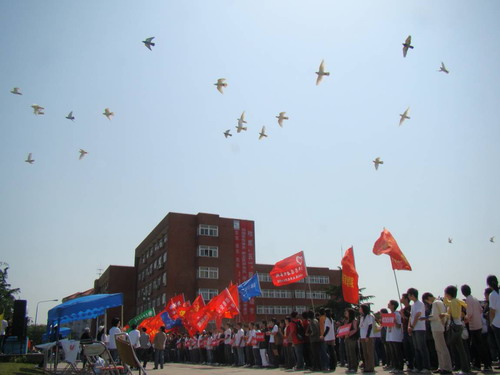 广场放飞和平鸽